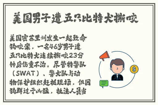 一个人免费观看的WWW哔哩哔哩